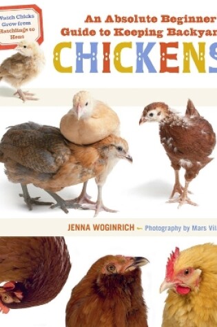 Cover of Absolute Beginner's Guide to Keeping Backyard Chickens: Watch Chicks Grow from Hatchlings to Hens