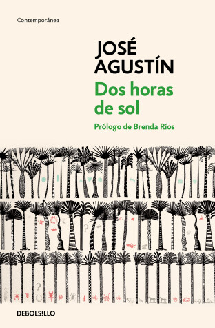 Book cover for Dos horas de sol / Two Hours of Sun