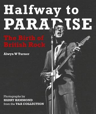 Book cover for Halfway to Paradise