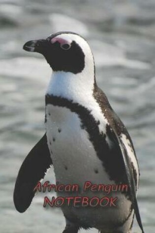 Cover of African Penguin NOTEBOOK