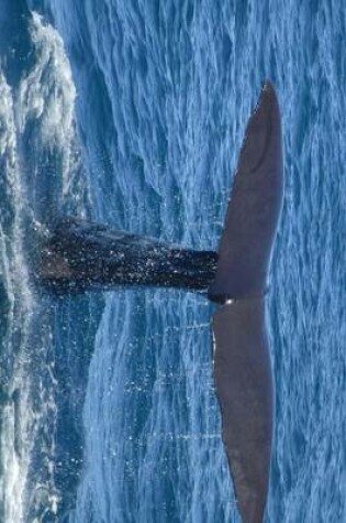 Cover of The Fluke or Tail of a Sperm Whale