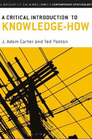 Cover of A Critical Introduction to Knowledge-How