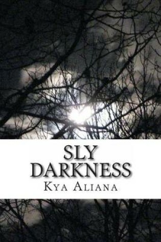 Cover of Sly Darkness