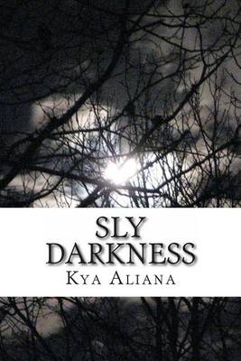 Book cover for Sly Darkness