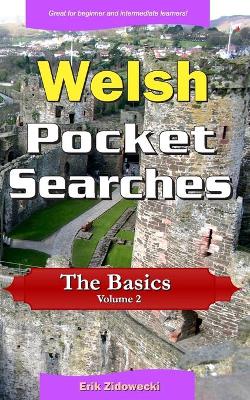 Book cover for Welsh Pocket Searches - The Basics - Volume 2