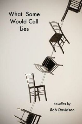 Cover of What Some Would Call Lies