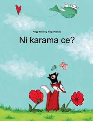 Book cover for Ni karama ce?