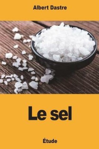Cover of Le sel