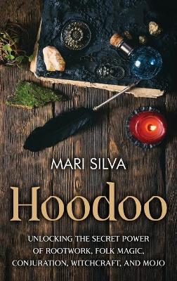 Book cover for Hoodoo