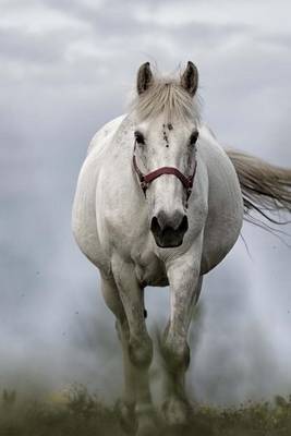 Book cover for White Horse Journal