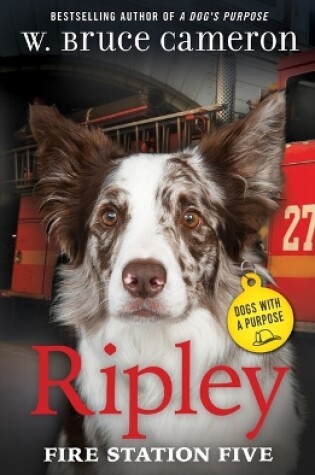 Cover of Ripley: Fire Station Five