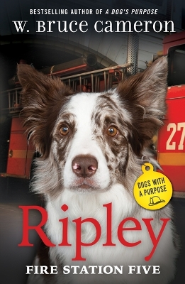 Book cover for Ripley: Fire Station Five