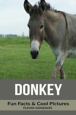 Cover of Donkey