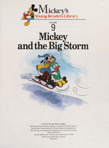 Cover of Mickey and the Big Storm