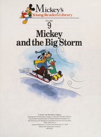 Book cover for Mickey and the Big Storm