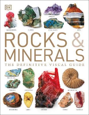 Book cover for Rocks & Minerals