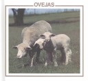 Cover of Ovejas