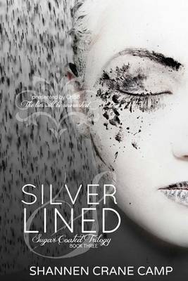Book cover for Silver Lined