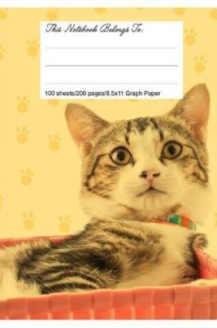 Cover of Graph Paper Workbook, 5x5 Graph Ruled Paper, 8.5.X 11, Beautiful Cat