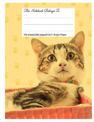 Book cover for Graph Paper Workbook, 5x5 Graph Ruled Paper, 8.5.X 11, Beautiful Cat