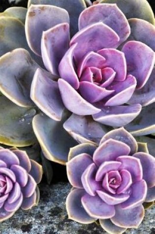 Cover of Pretty Purple and Green Succulents Plant Journal
