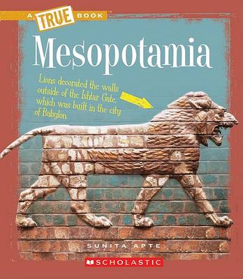 Book cover for Mesopotamia