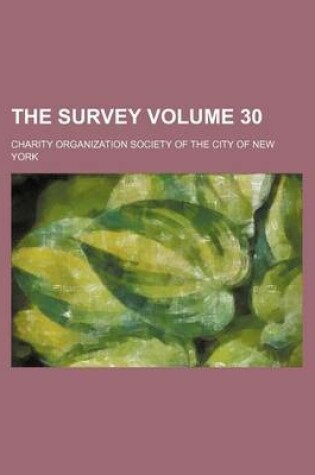 Cover of The Survey Volume 30