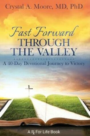 Cover of Fast Forward Through the Valley