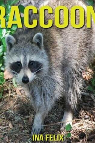 Cover of Raccoon