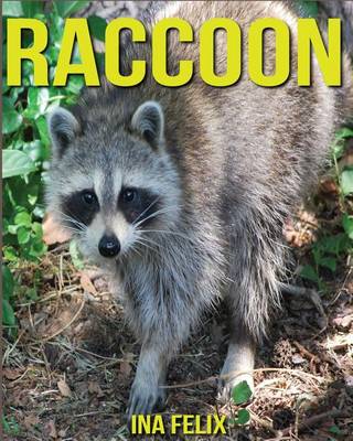 Book cover for Raccoon