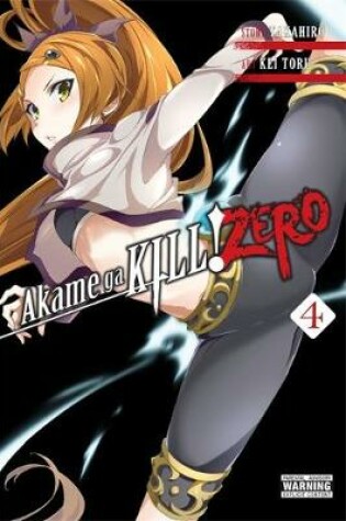 Cover of Akame ga KILL! ZERO, Vol. 4