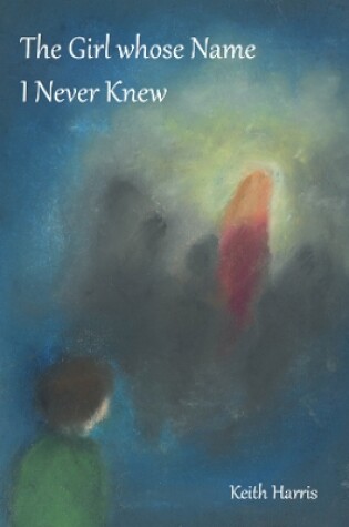 Cover of The Girl whose Name I Never Knew
