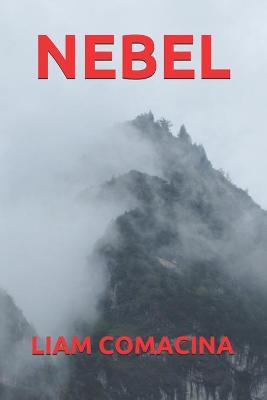 Book cover for Nebel