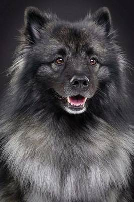 Cover of Keeshond