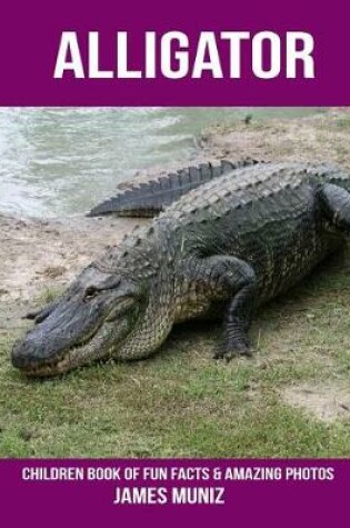 Cover of Alligator