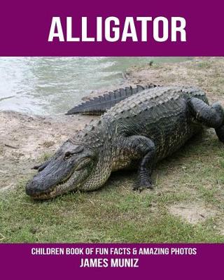 Book cover for Alligator