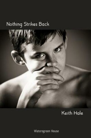 Cover of Nothing Strikes Back