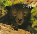 Book cover for Wild Puppies