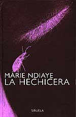 Book cover for La Hechicera