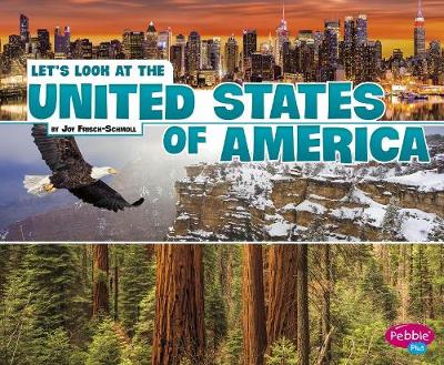 Book cover for Lets Look at the United States of America (Lets Look at Countries)