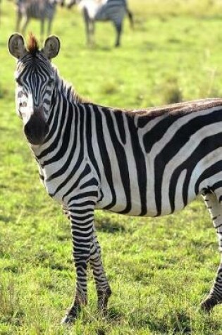 Cover of A Zebra Herd in Namibia, Africa Journal