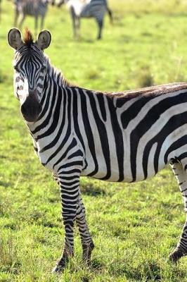 Book cover for A Zebra Herd in Namibia, Africa Journal