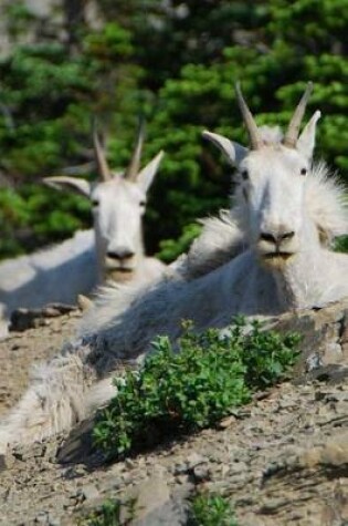 Cover of Mountain Goats Animal Journal