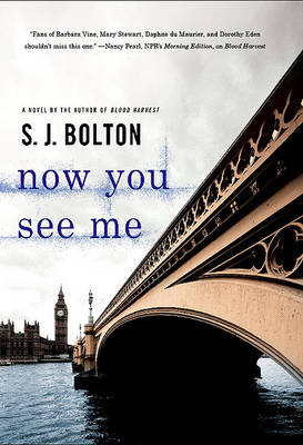 Book cover for Now You See Me