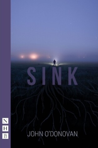 Cover of Sink