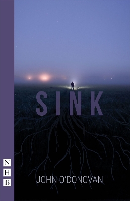 Cover of Sink