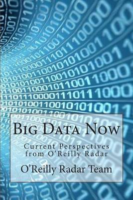 Book cover for Big Data Now
