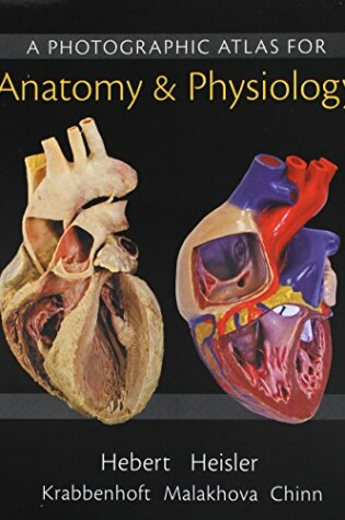 Cover of Practice Anatomy Lab 3.0 Lab Guide; Modified Mastering A&p with Pearson Etext -- Standalone Access Card -- For Human Anatomy & Physiology; Photographic Atlas for Anatomy & Physiology, a (Valuepack Only)