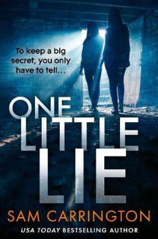 Cover of One Little Lie