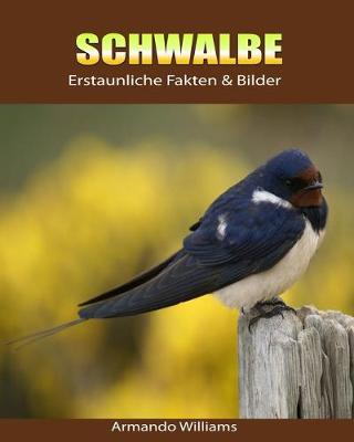 Book cover for Schwalbe